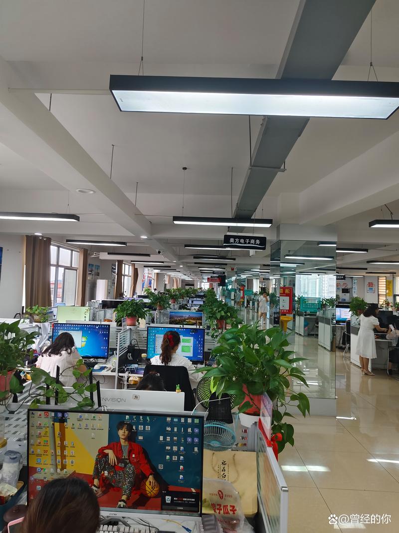 电商运营：避开新手误区，赢在未来战场