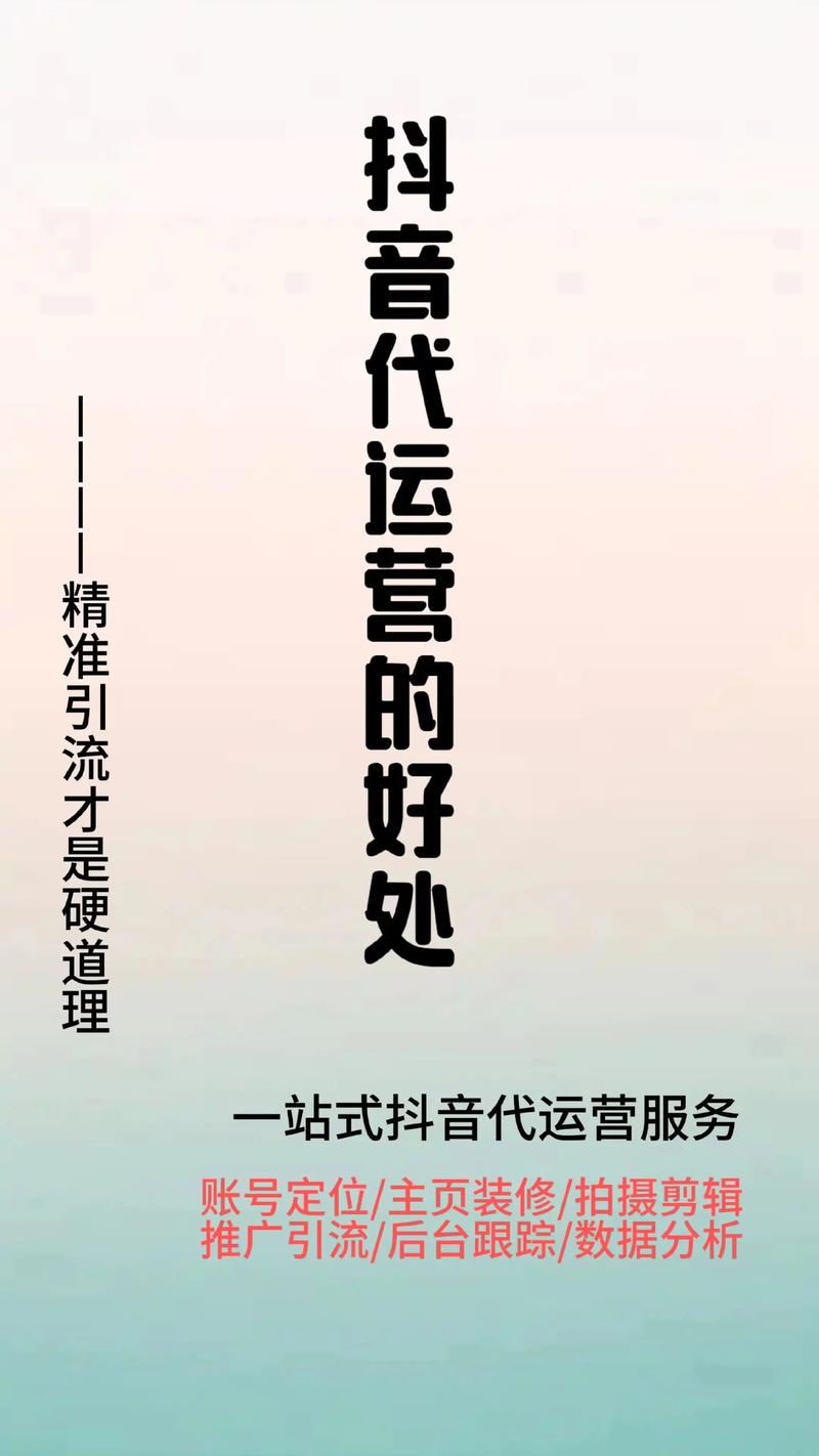 电商服务新星：王桑电商如何引领行业潮流